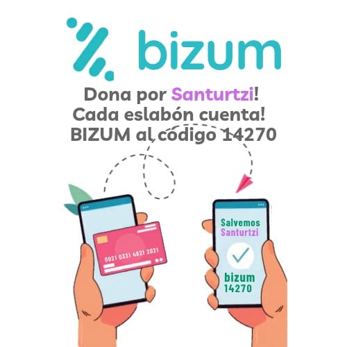 Bizum Santurtzi 14270